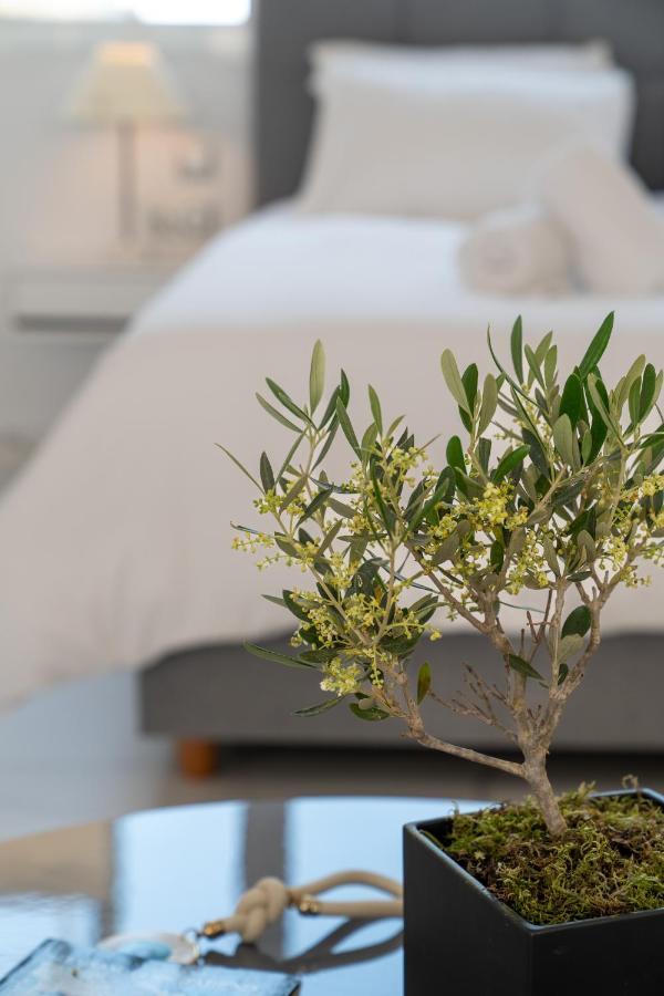 Olvar Suites Aten Exteriör bild