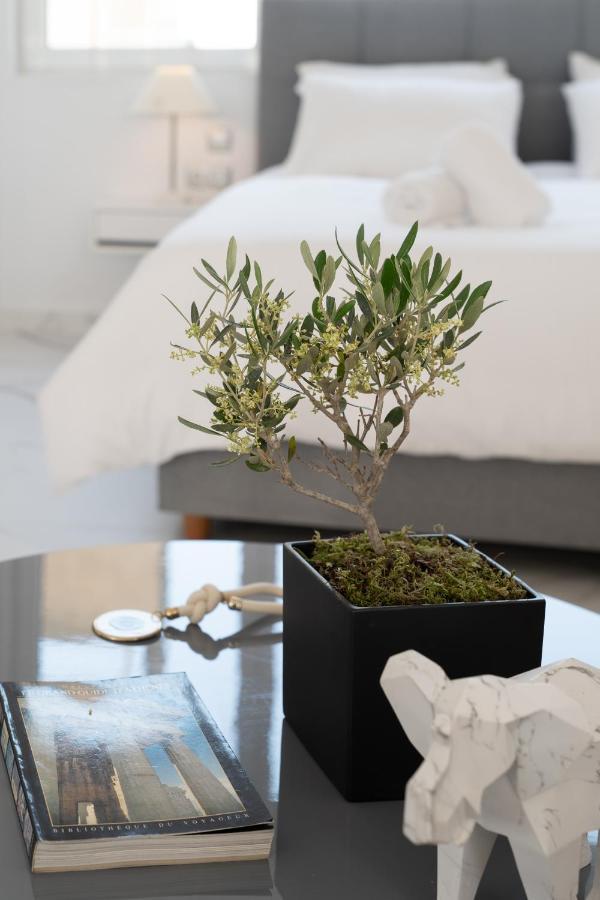 Olvar Suites Aten Exteriör bild